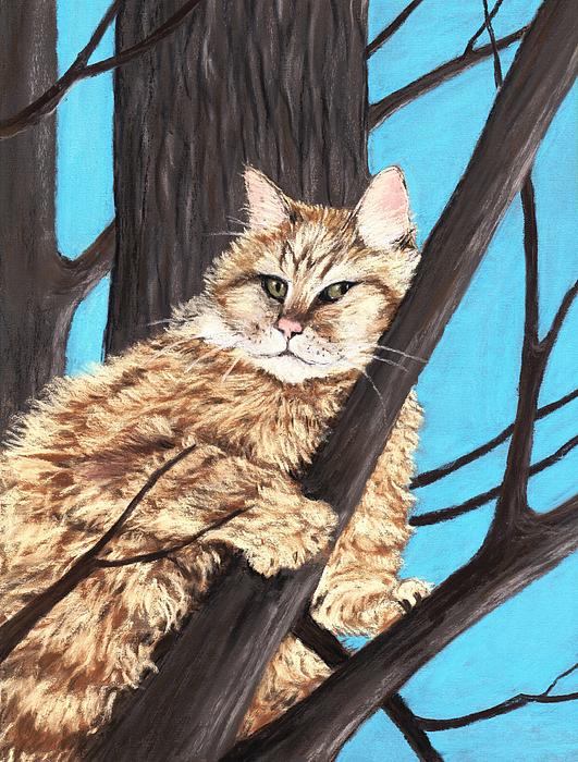 Cat on a Tree