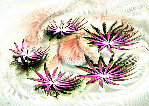 Water Lilies