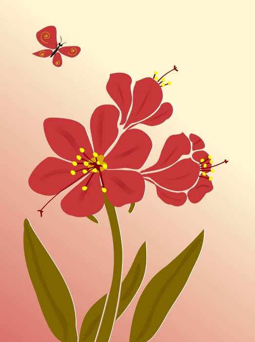 Amaryllis Flowers