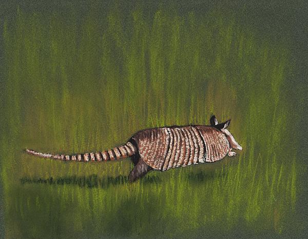 Armadillo Run