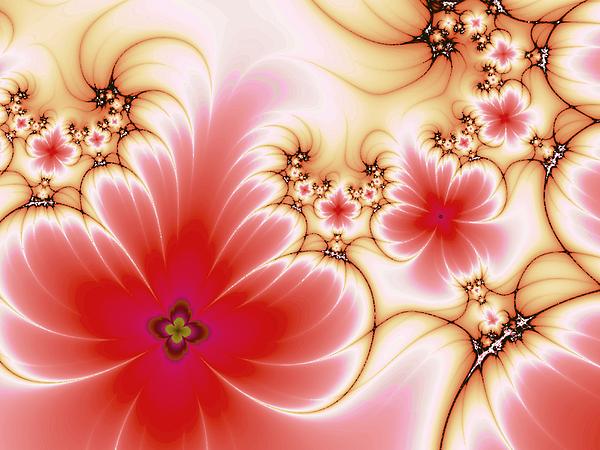 Blooming