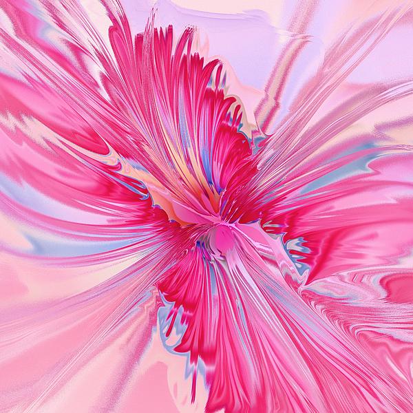 Carnation Pink