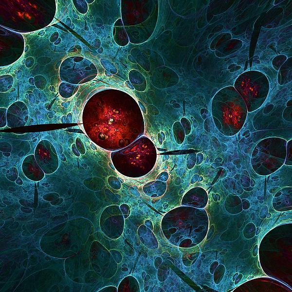 Cold Fusion