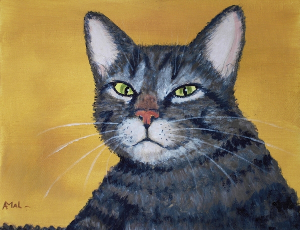 Cool Cat