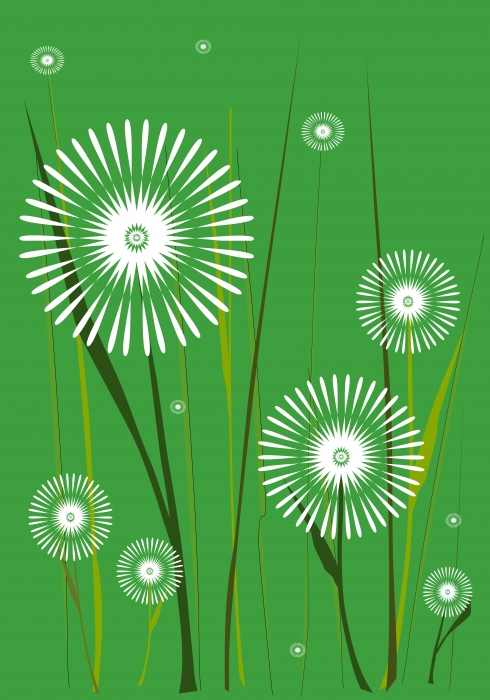 Dandelions