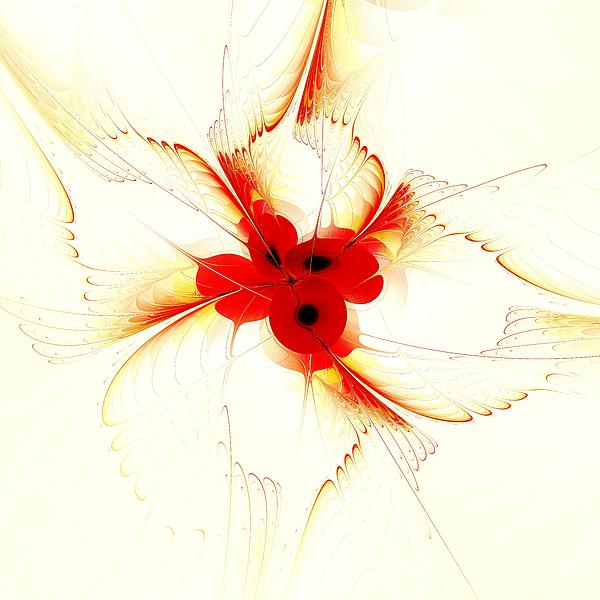 Dream Flower