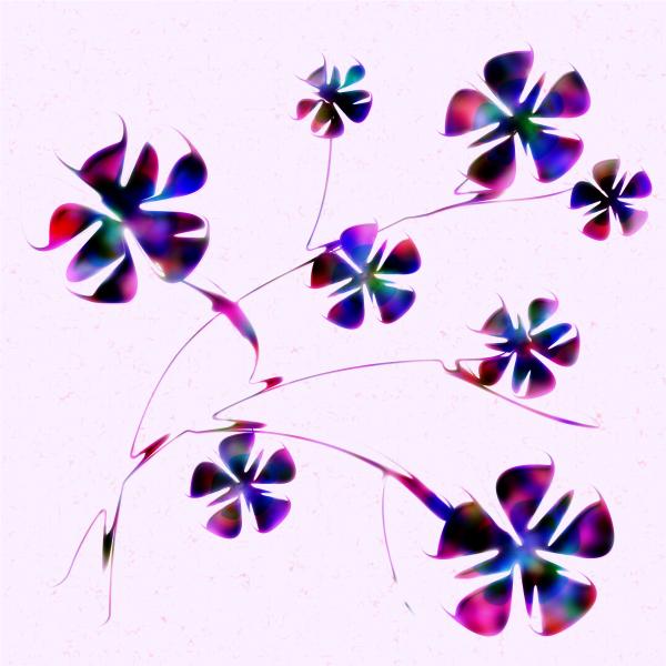 Dream Flowers