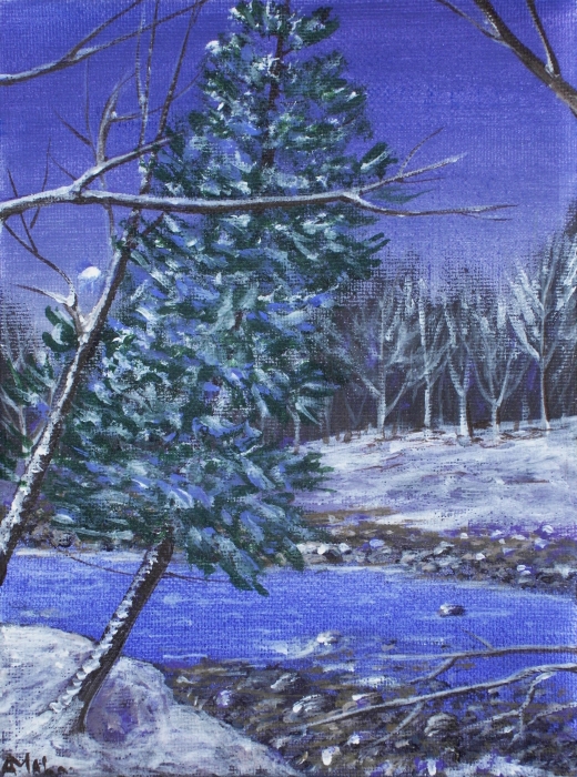 Evening Forest