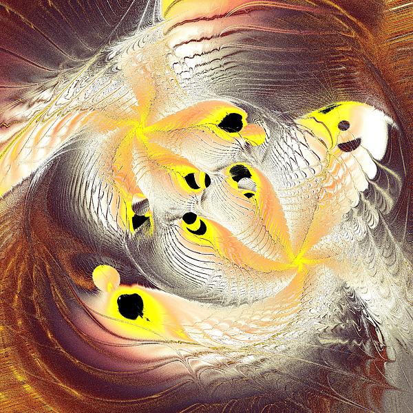 Feathers