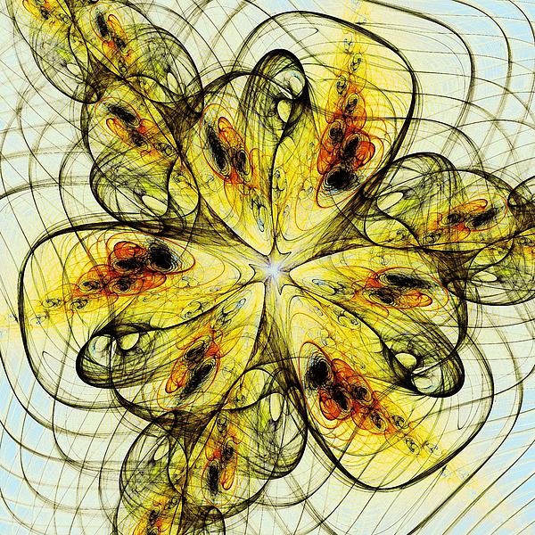Flower Sketch