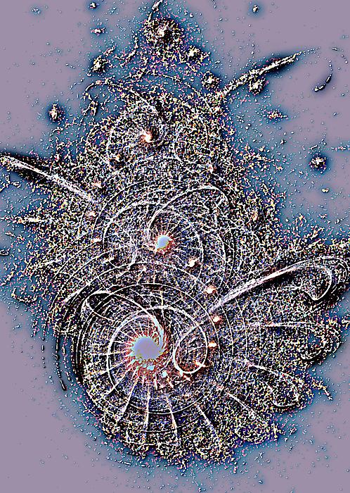 Fossil