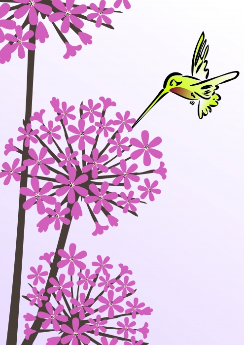 Hummingbird and Allium