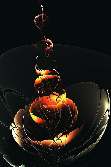 In The Dark