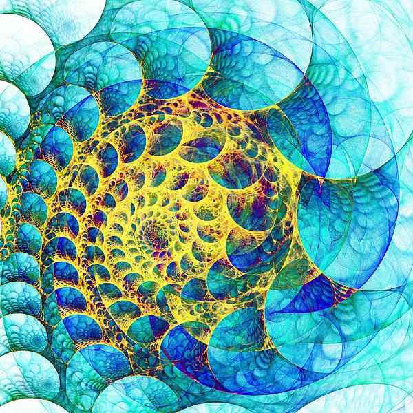 Inner Structure