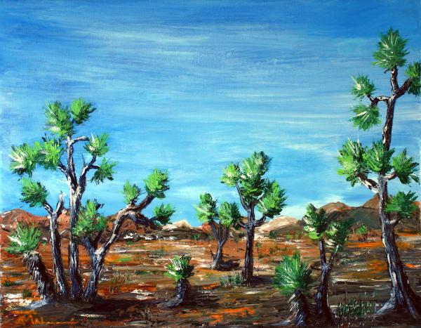 Joshua Trees