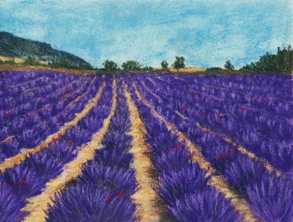 Lavender Afternoon