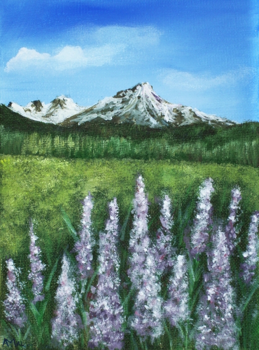 Lupin and Mountain