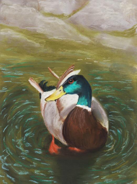 Mallard