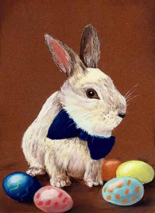 Mr. Rabbit