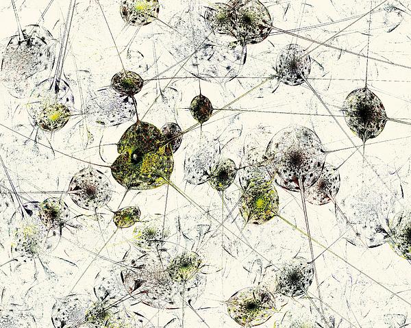 Neural Network