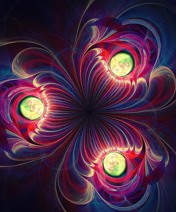 Night Flower