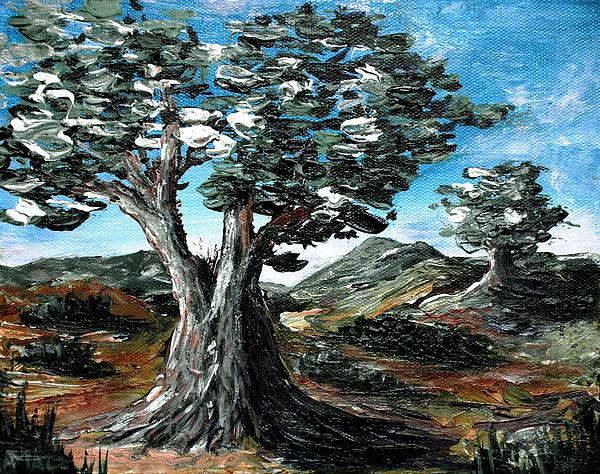 Old Olive Tree