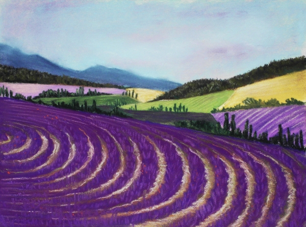 On Lavender Trail