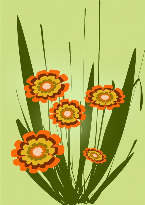 Orange Flowers