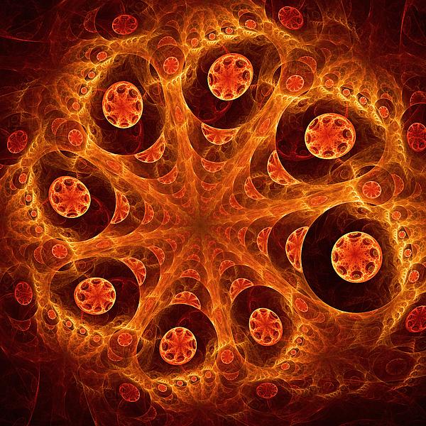 Orange Vision