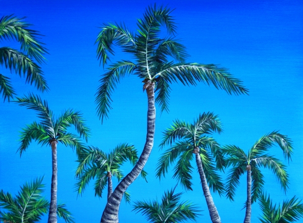 Palm Tops