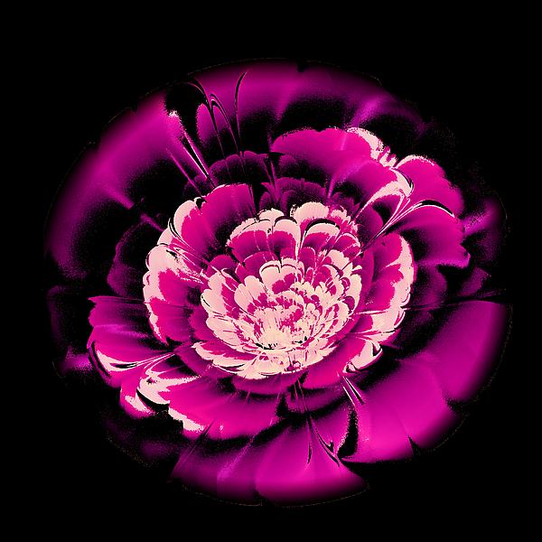 Pink Flower