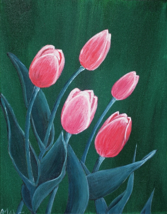 Pink Tulips