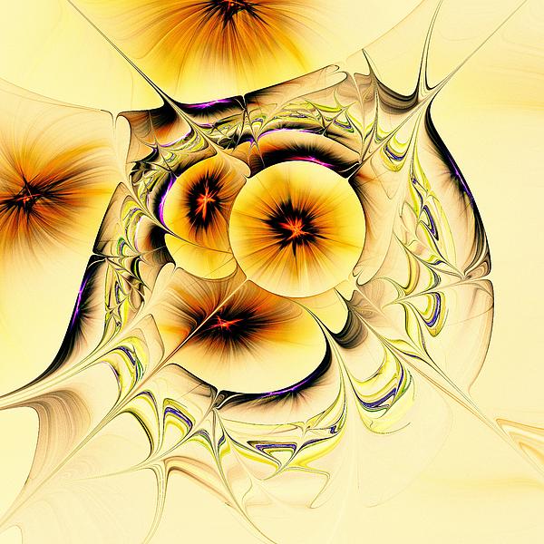 Potpourri