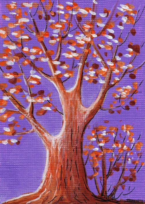 Purple and Orange