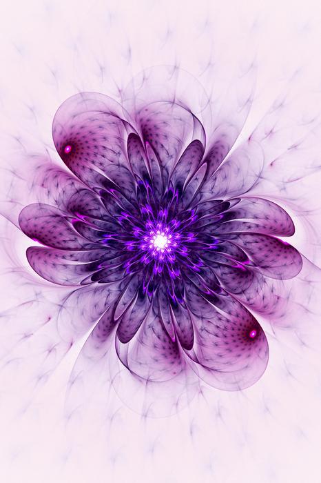Purple Flower