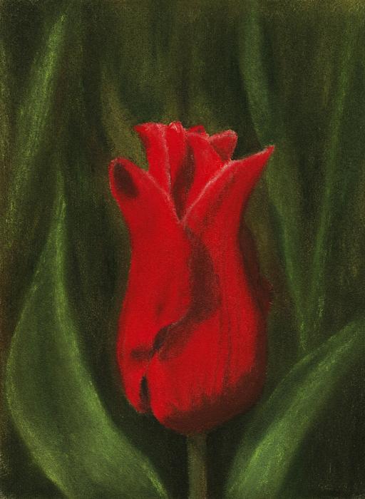 Red Elegance