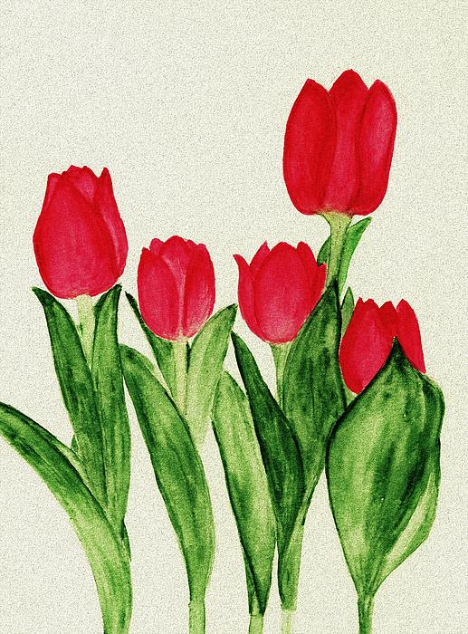 Red Tulips