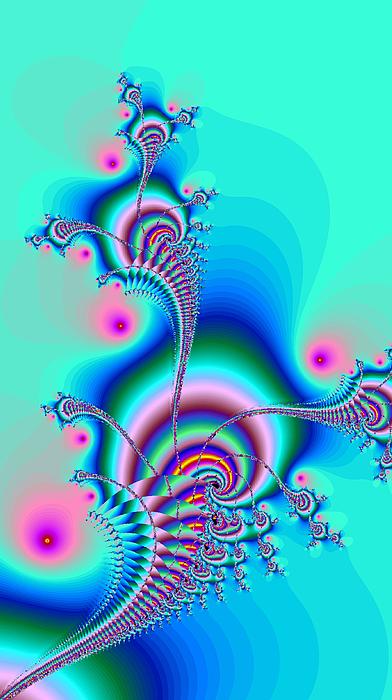 Seahorse Dance