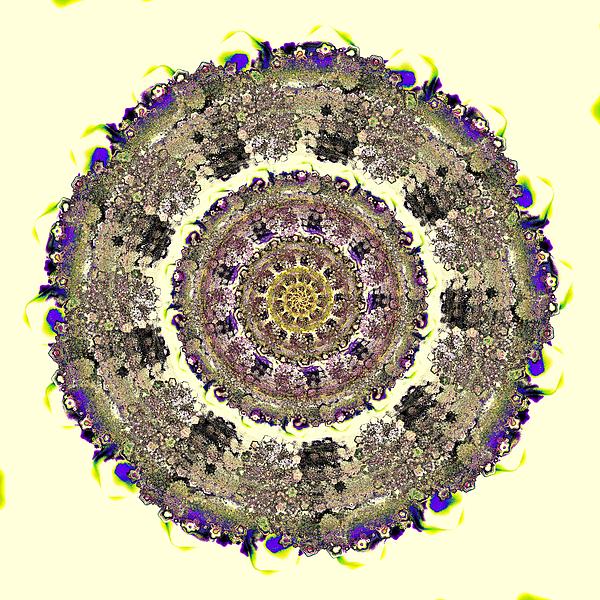 Snake Mandala