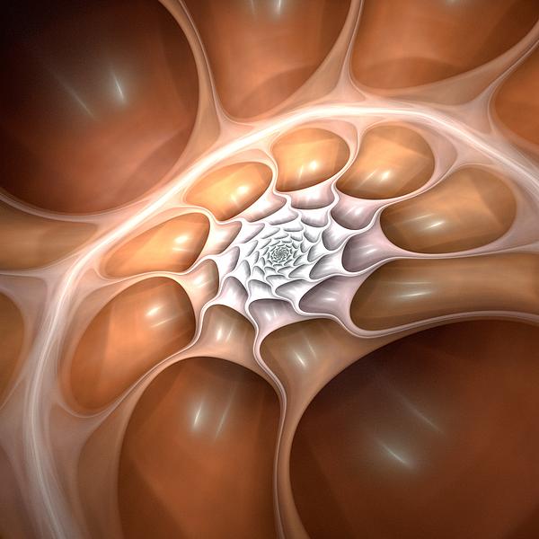 Subspace Vacuoles