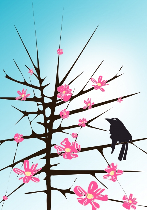 Thorns