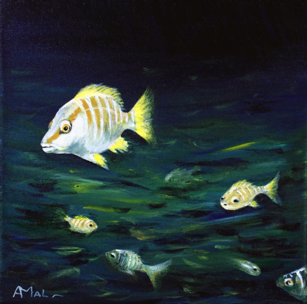 Tropical Fish