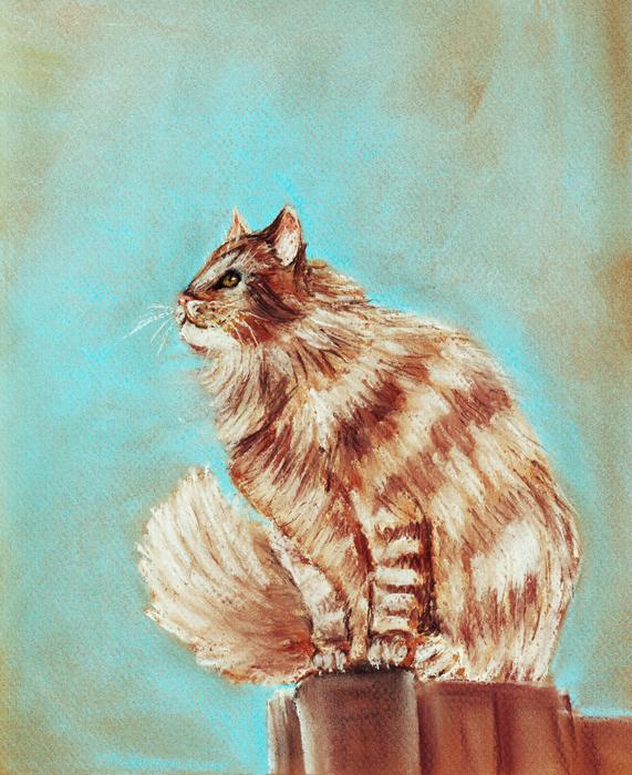 Watch Cat