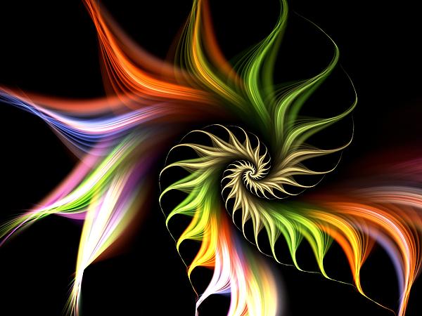 Wild Flower