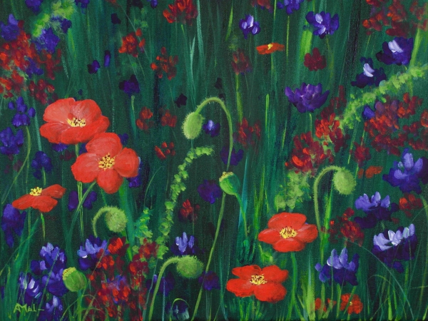 Wild Poppies