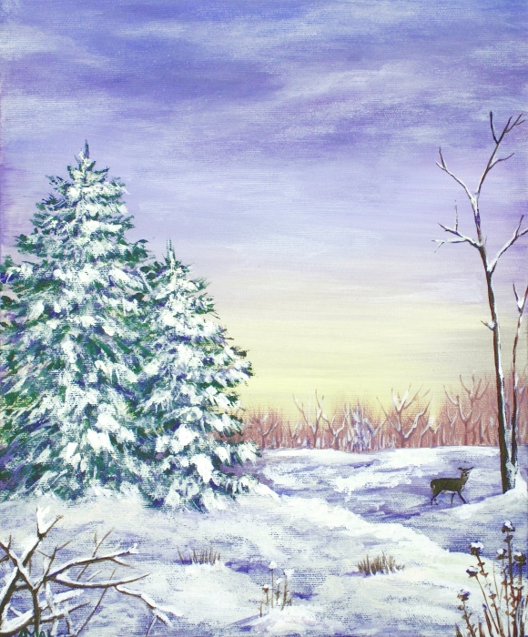 Winter Pine Trees