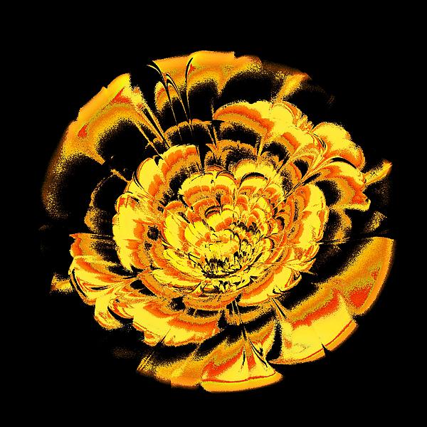 Yellow Flower