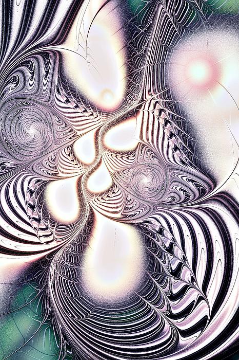 Zebra Phantasm