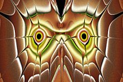 Barn Owl