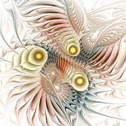Birds of Paradise